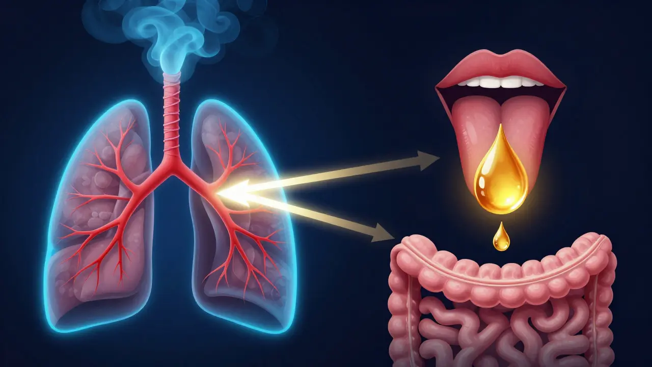 Ilustrace srovnávající rychlost vstřebávání inhalačně a pod jazyk