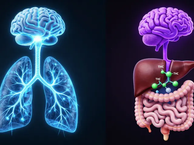 10 mg edibles vs. joint: Jak silné to je a co vybrat?